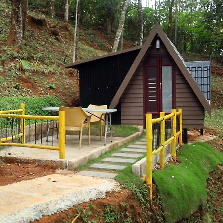 Garden Of Eden-Thottam Munnar-Hiking And Camping Anachal Buitenkant foto