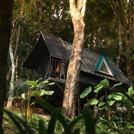 Garden Of Eden-Thottam Munnar-Hiking And Camping Anachal Buitenkant foto