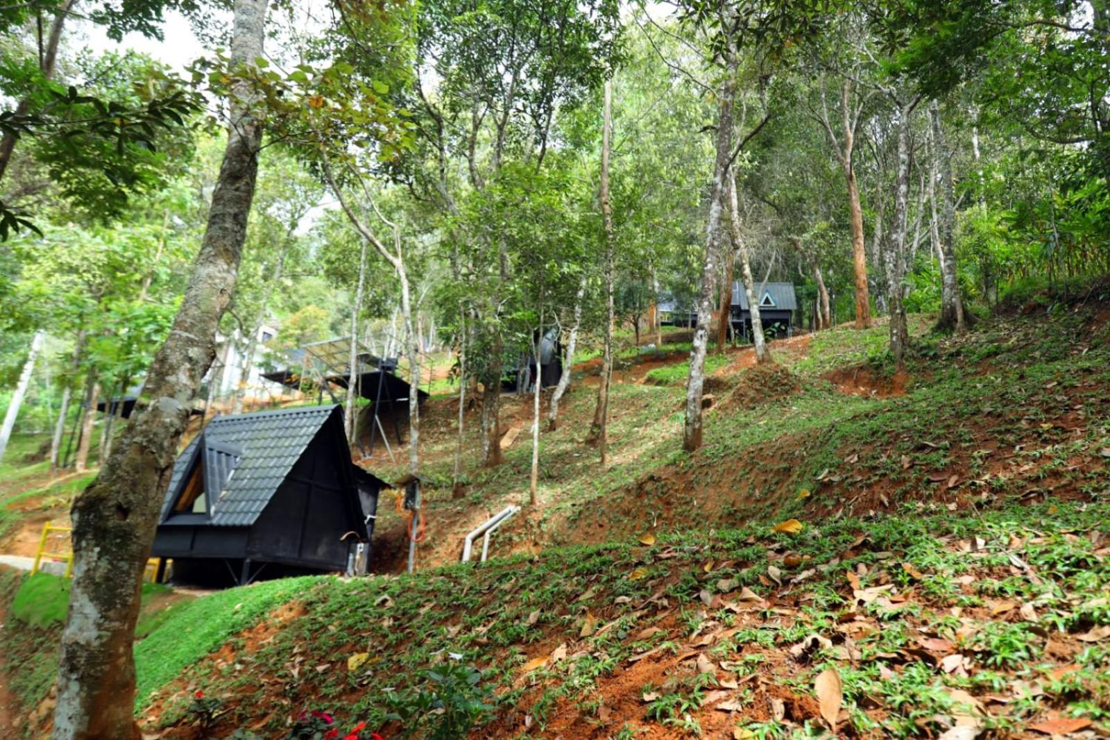 Garden Of Eden-Thottam Munnar-Hiking And Camping Anachal Buitenkant foto