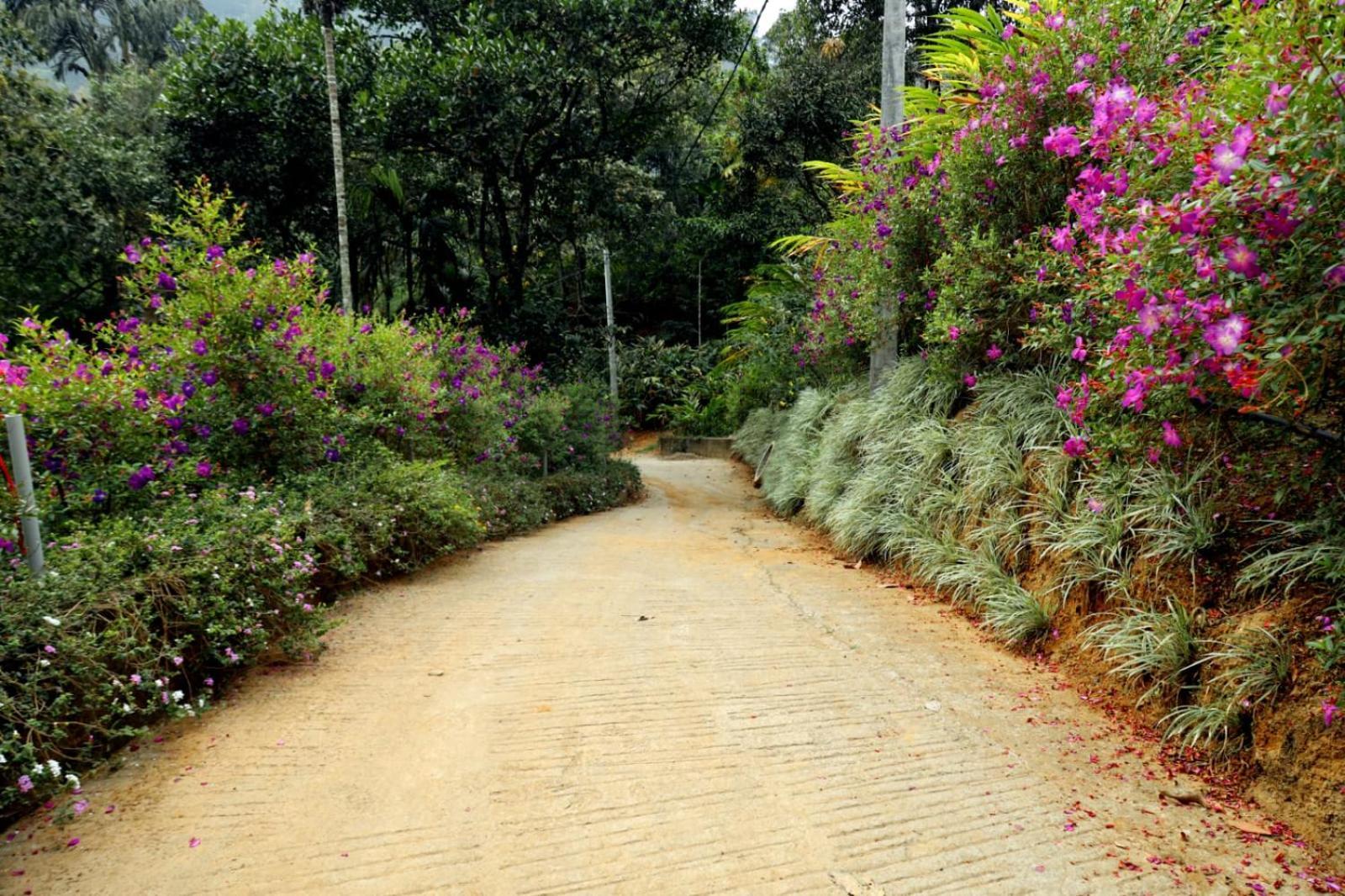 Garden Of Eden-Thottam Munnar-Hiking And Camping Anachal Buitenkant foto