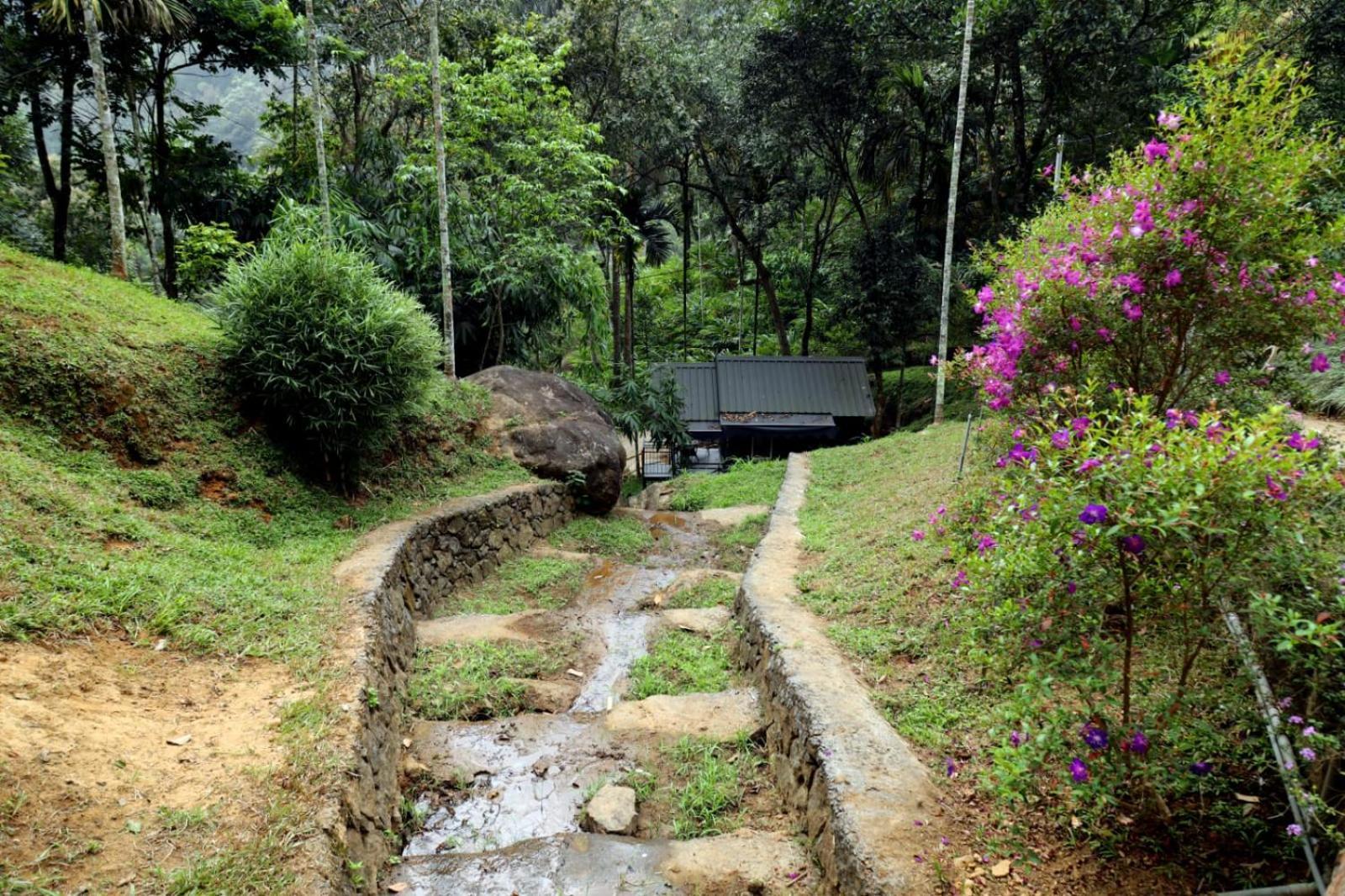 Garden Of Eden-Thottam Munnar-Hiking And Camping Anachal Buitenkant foto