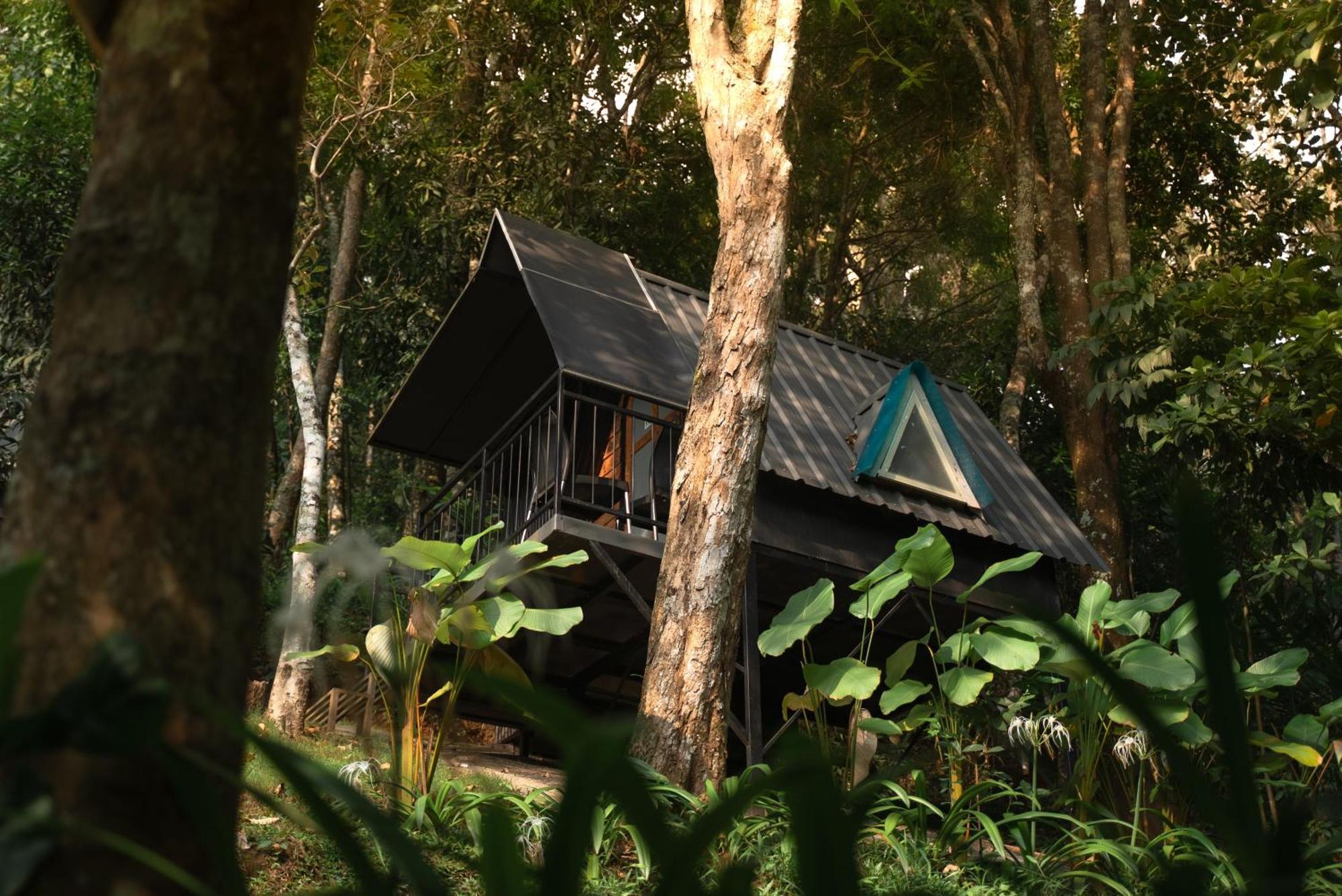Garden Of Eden-Thottam Munnar-Hiking And Camping Anachal Buitenkant foto