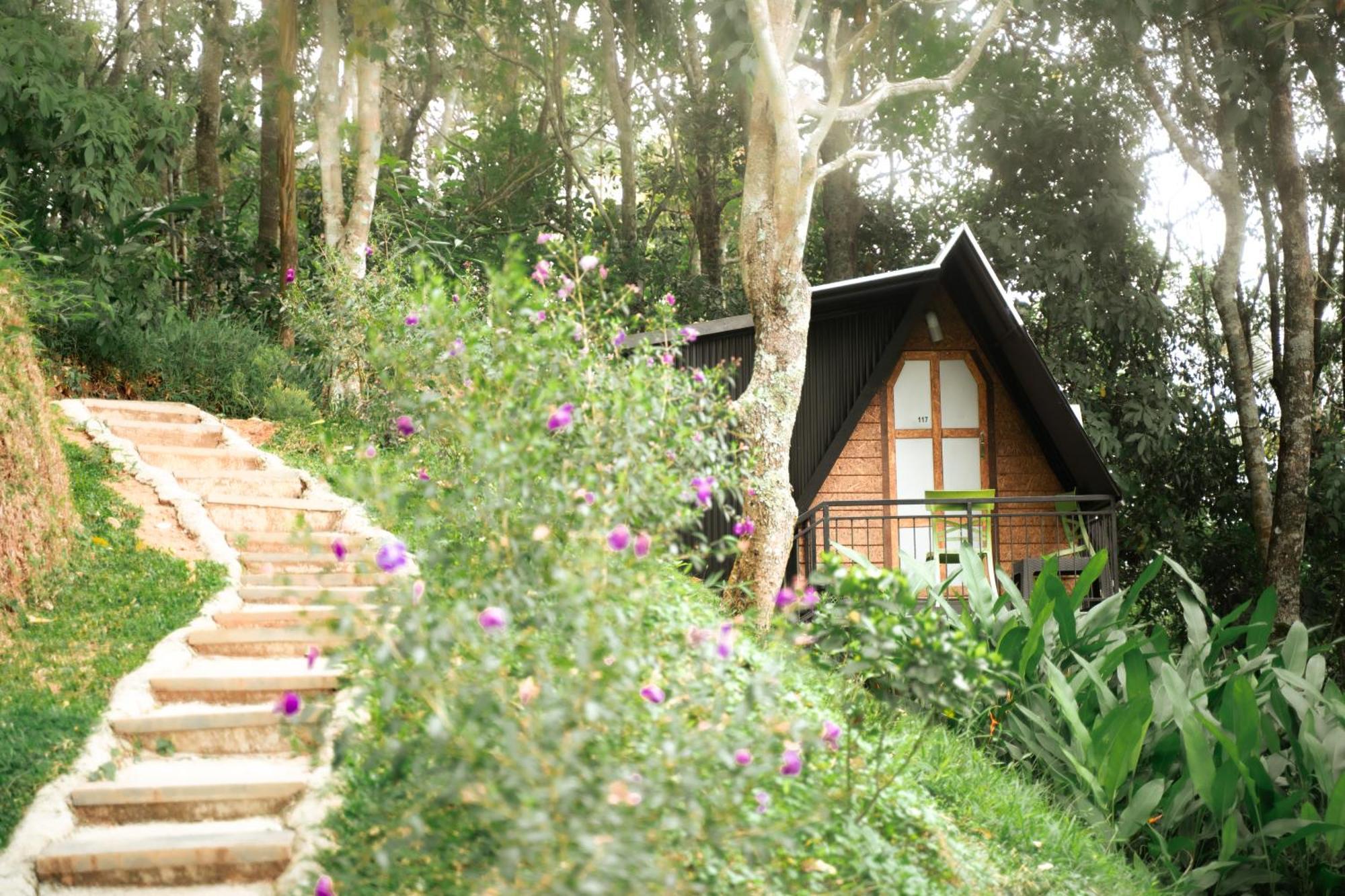 Garden Of Eden-Thottam Munnar-Hiking And Camping Anachal Buitenkant foto