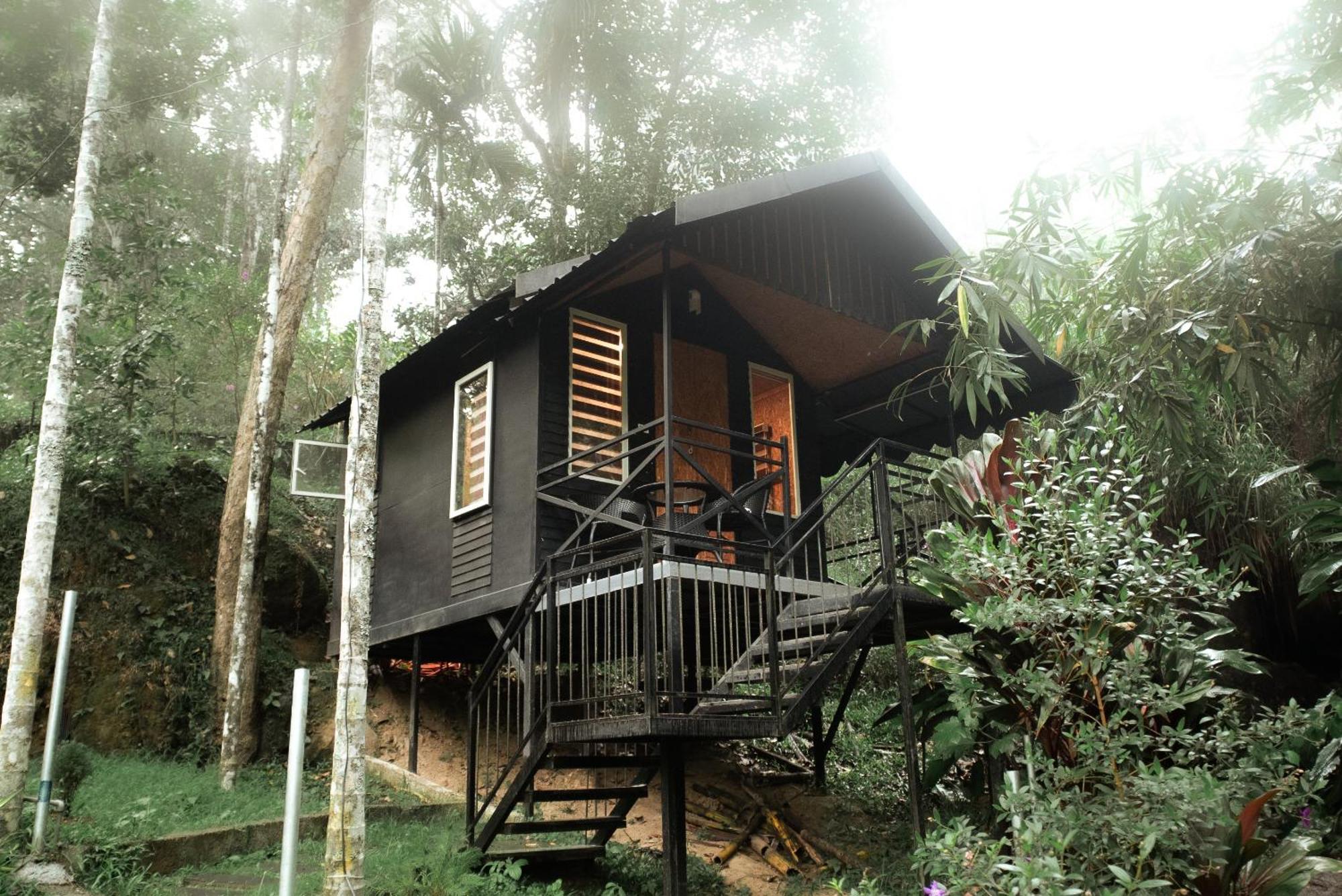 Garden Of Eden-Thottam Munnar-Hiking And Camping Anachal Buitenkant foto