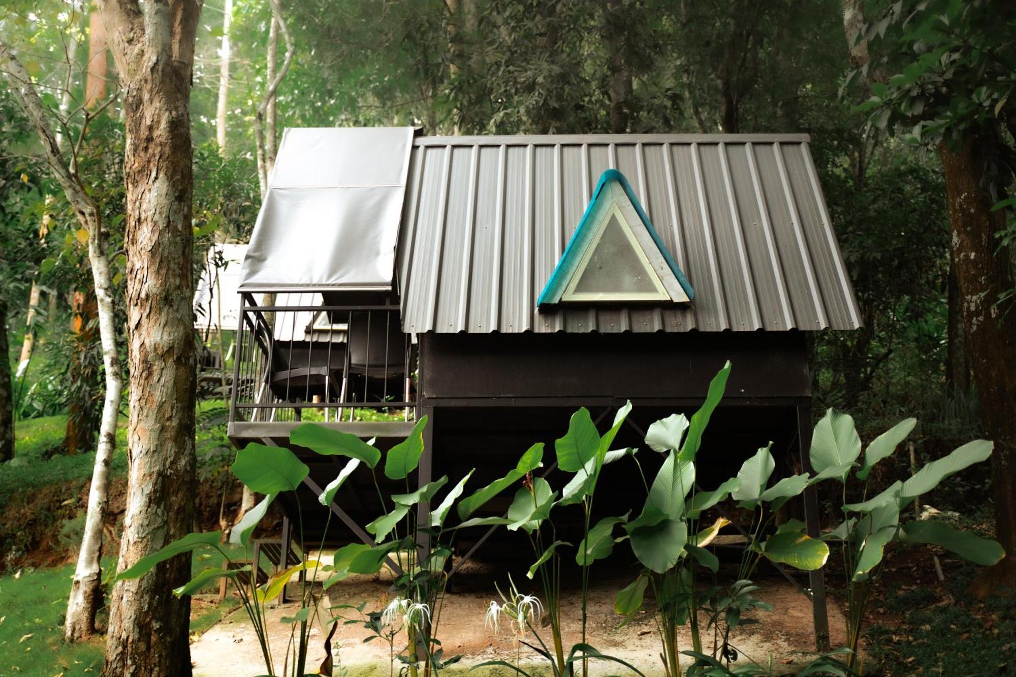 Garden Of Eden-Thottam Munnar-Hiking And Camping Anachal Buitenkant foto